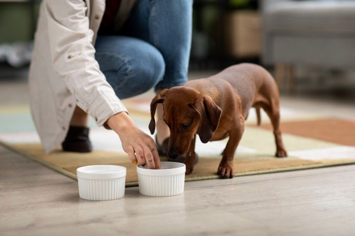 Pet Nutrition