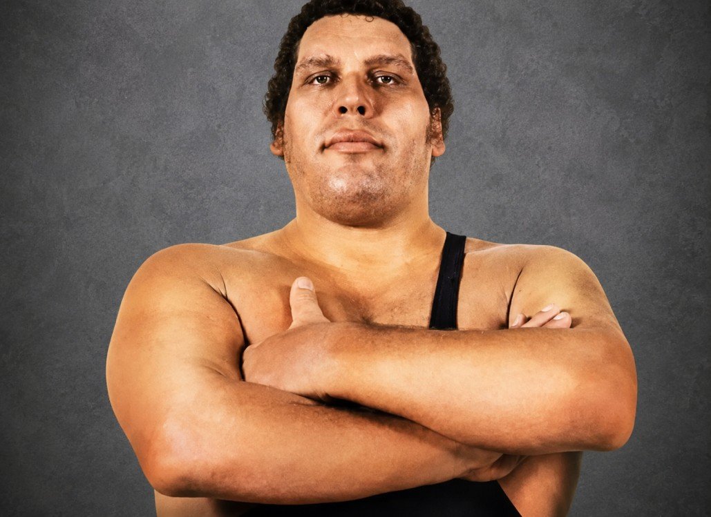 Andre the Giant